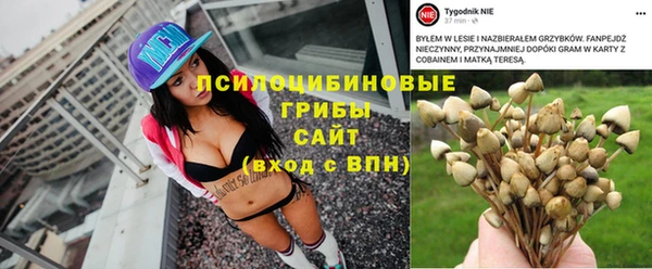 спайс Алзамай