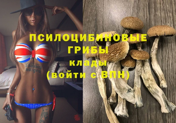 спайс Алзамай