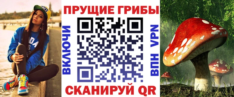 Псилоцибиновые грибы Magic Shrooms  Азов 